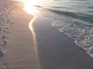 A beautiful morning at the beach